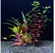 Aqua Natura πλαστικά φυτά για διακόσμηση ενυδρείου 18 cm κόκκινο-πράσινο μείγμα