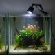 Aqua Natura Λαμπτήρας LED για ενυδρείο/τερράριο με εστίαση φωτός, λευκό φως 6500K + 3200K