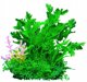 Aqua Natura, fyto gia diakosmisi enydriou, prasino, plastiko, 12 cm, pykni fyta me roz diakosmitiko