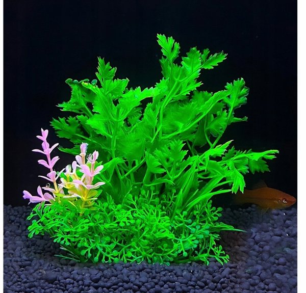 Aqua Natura, fyto gia diakosmisi enydriou, prasino, plastiko, 12 cm, pykni fyta me roz diakosmitiko