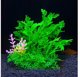 Aqua Natura, fyto gia diakosmisi enydriou, prasino, plastiko, 12 cm, pykni fyta me roz diakosmitiko