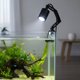 Aqua Natura Λαμπτήρας LED για ενυδρείο/τερράριο, ψυχρό λευκό 6500K