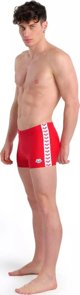 Arena Ανδρικά Μαγιό Μπόξερ MEN'S ARENA ICONS SWIM SHORT SOLID