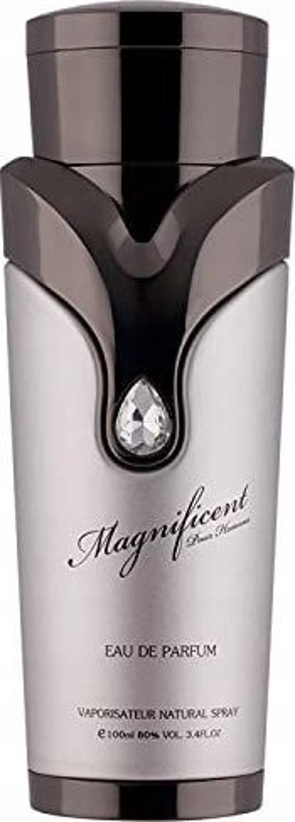 Armaf Magnificent Eau De Parfum για Άνδρες 100ml