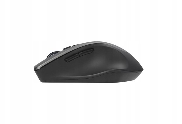 Asus WT425 MOUSE/GY