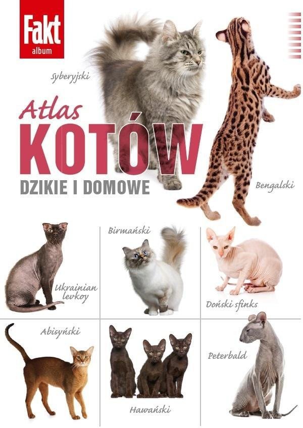 Atlas kotow