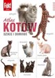 Atlas kotow