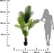 Τεχνητό Φοίνικας Atmosphera σε Γλάστρα 180 cm