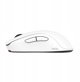 BENQ Zowie Mouse Gaming Gear U2-DW Glossy