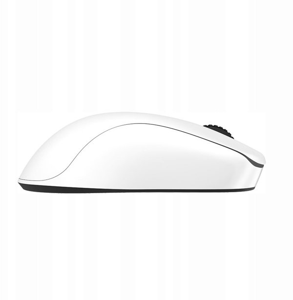 BENQ Zowie Mouse Gaming Gear U2-DW Glossy