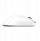 BENQ Zowie Mouse Gaming Gear U2-DW Glossy