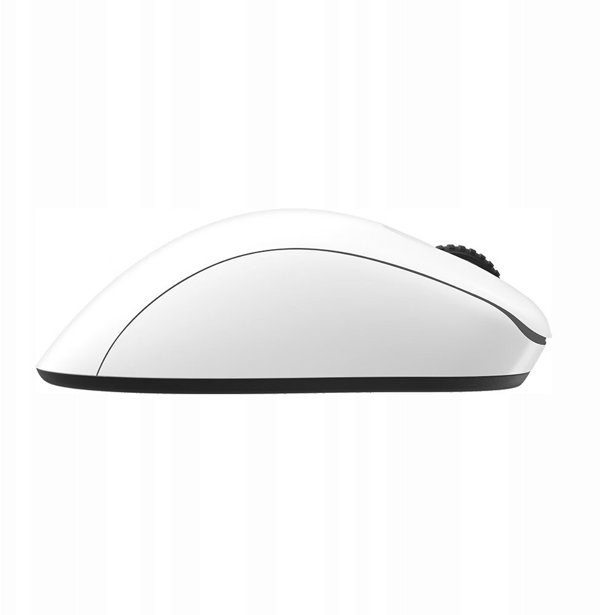 BENQ Zowie Mouse Gaming Gear EC2-DW Glossy
