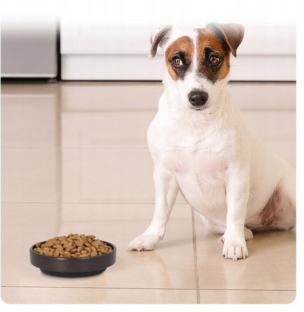 BE NORDIC, miska, dla kota, czarna, ceramika/guma, 0,3 l/o 16 cm