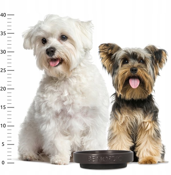 BE NORDIC, miska, dla kota, czarna, ceramika/guma, 0,3 l/o 16 cm