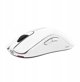 BENQ Zowie Mouse Gaming Gear FK2-DW Glossy