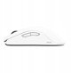 BENQ Zowie Mouse Gaming Gear FK2-DW Glossy