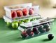 Beverage Organizer for Frigo 10x36x10cm 2.9L 54615 (8681982062150)