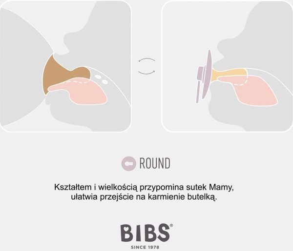 BIBS COLOUR 2-PACK IVORY & SAGE L Πιπίλα Καταπραϋντική από Καουτσούκ Hevea