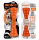 Bionic BIONIC Urban Stick, gryzak, dla psa, M, 23cm