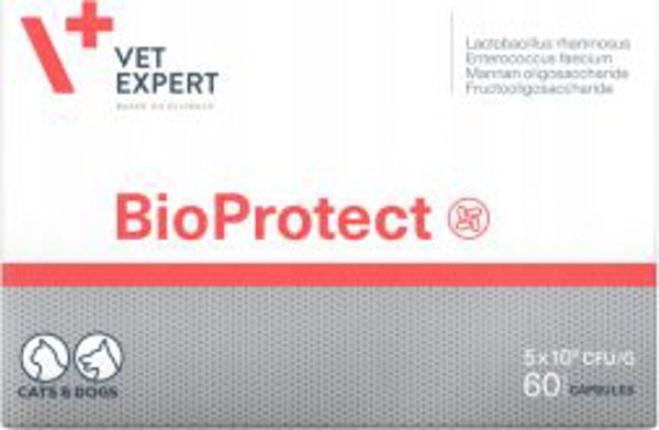 BioProtect Προβιοτικό Συμπλήρωμα Διατροφής, 60 Κάψουλες