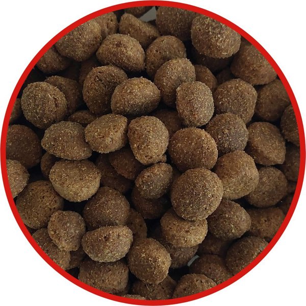 Biofeed BIOFEED TASTY DOGS LIFE ADULT M&L WITH BEEF 12KG