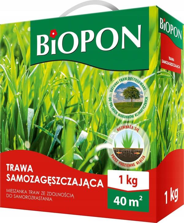 Biopon αυτοφυής χλοοτάπητας σπόρος 1kg
