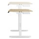 SENSE7 Nojo Ηλεκτρικό Γραφείο με Ρύθμιση Ύψους 120x60cm, White Pine