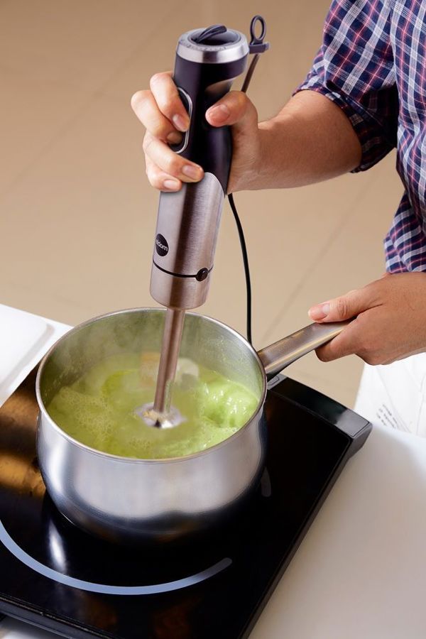 Blender Eldom BL210