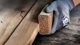 Bosch Bosch Expert M480 net sanding roll 115mm, K400, sanding sheet (5 meters)