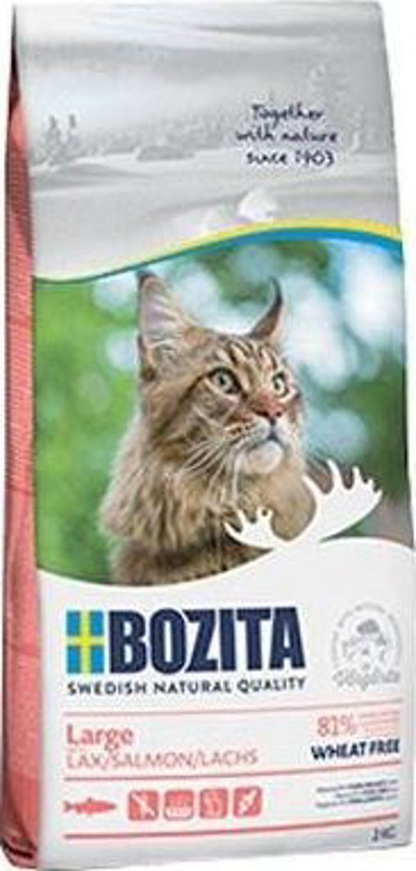 Bozita Karma sucha dla kota - Large wheat free Salmon 2 kg