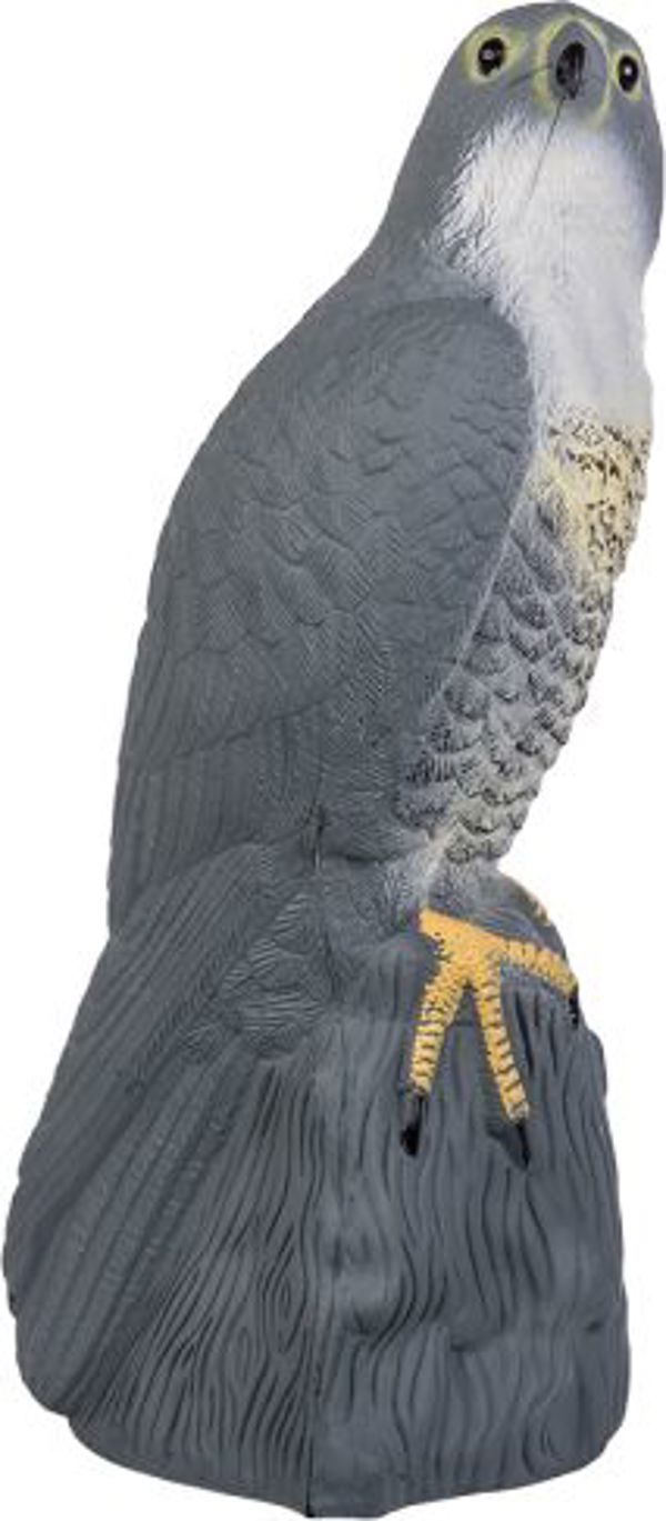Bradas Απωθητικό Πουλιών 41cm Sokol Bradas 8069