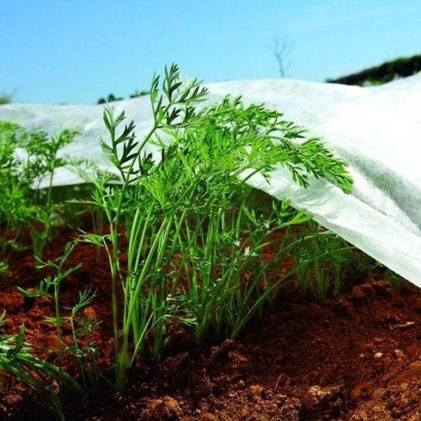 Bradas agrovelknin 17 βάρος, λευκό εαρινό 1,1x5m AWW1711005