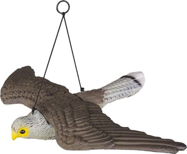 Bradas Απωθητικό Πουλιών 54cm Sokol σε Πτήση