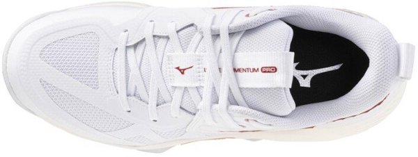 Buty Mizuno WAVE MOMENTUM PRO W V1GC254073