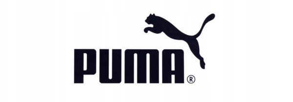 Buty Puma Future 8 Pro FG/AG Jr 108142-03