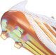 Buty adidas F50 ELITE FG KJ1901