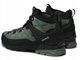 Ανδρικά παπούτσια πεζοπορίας Aku M'S ROCK DFS MID GTX πράσινα 43