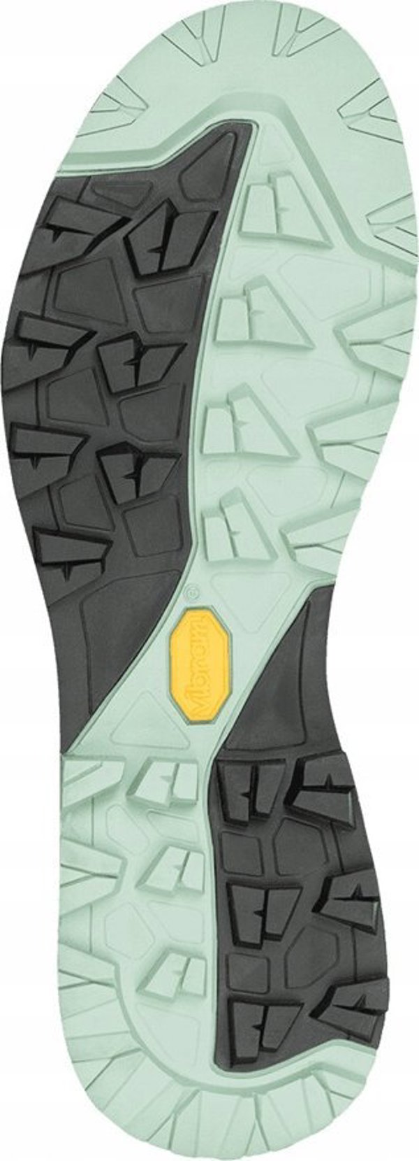 Buty trekkingowe damskie Aku W'S ROCK DFS GTX, jade, 40