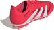 Buty adidas Predator Club Jr FG/MG ID3813