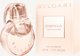 BVGARI Omnia Crystalline EDP spray 50ml