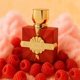 Carnal Desire Aromatix Eau de Parfum 100ml