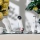 Cecotec FaceCare SkinRoutine Σετ 3 Μασάζ Προσώπου