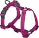 Chaba CHABA GUARD KARNESS "XL" μπορντό 45-85 / 65-95 / 2,5cm