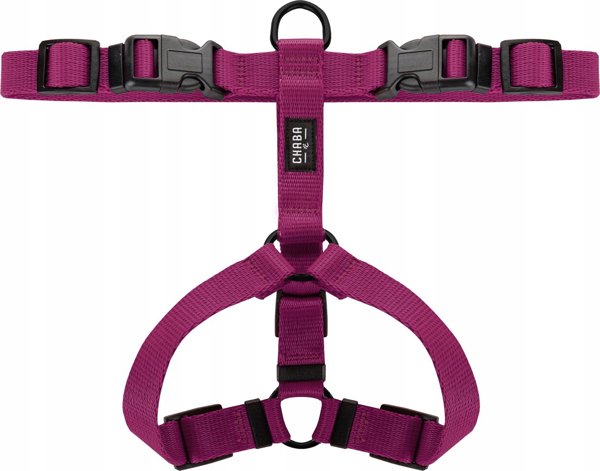 Chaba CHABA GUARD KARNESS "XL" μπορντό 45-85 / 65-95 / 2,5cm