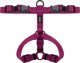 Chaba CHABA GUARD KARNESS "XL" μπορντό 45-85 / 65-95 / 2,5cm