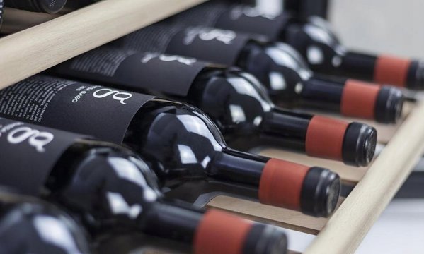 Caso WineSafe 18 EB