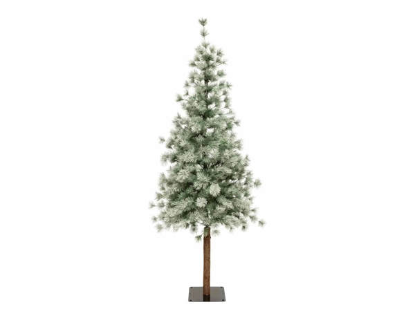 ΧΡΙΣΤΟΥΓΕΝΝΙΆΤΙΚΑ ΔΈΝΤΡΑ ! NORDSTAR FIR TREE 180 CM 198306 3560232729850
