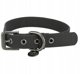 Κολάρο Σκύλου CityStyle Μαύρο PVC S–M 30–37 cm 20 mm