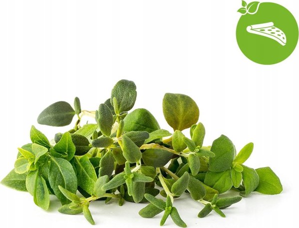 Click And Grow Click&Grow Smart Soil σπόροι, μείγμα ιταλικών βοτάνων, συσκευασία 9 9472263 4742793009209