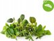 Click And Grow Click&Grow Smart Soil σπόροι, μείγμα ιταλικών βοτάνων, συσκευασία 9 9472263 4742793009209